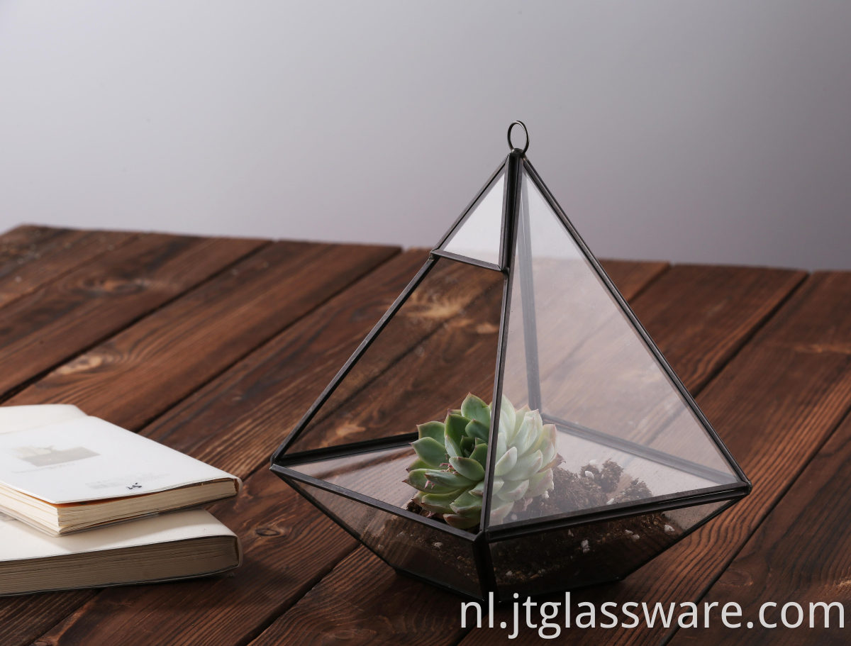 Terrarium Wholesale